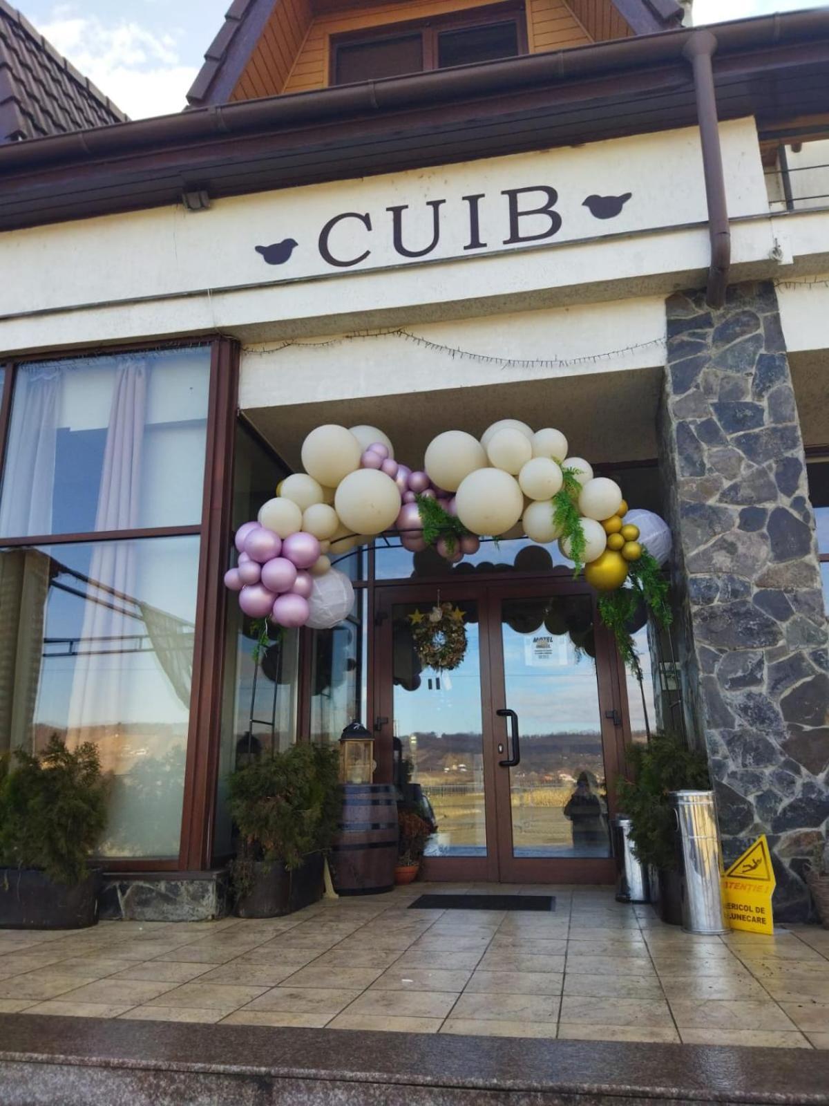 La Cuib Cristian Sibiu 호텔 객실 사진